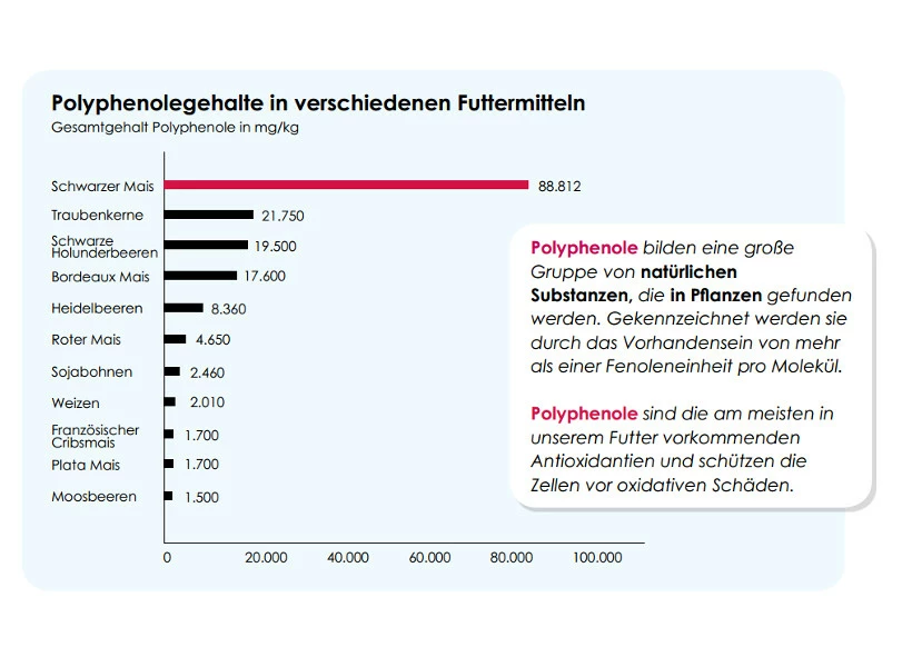 Versele Junior Plus I.C.⁺ 20kg 3 Versele Junior Plus I.C.⁺ 20kg – Bild 3