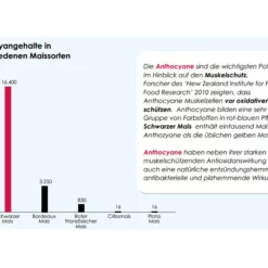 Versele Superstar Plus IC+ Black Label 20kg 7 Versele Superstar Plus IC+ Black Label 20kg -Tier Futter Laden antioxidantien 214