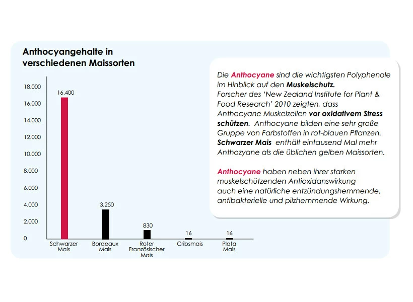 Versele Master Black 20kg 4 Versele Master Black 20kg – Bild 4