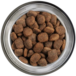 Belcando Adult Power 12,5kg 5 Belcando Adult Power 12,5kg -Tier Futter Laden belcando napf adult power 800x800