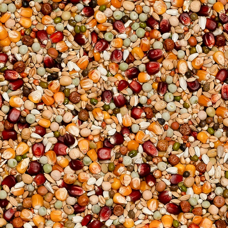 Beyers Premium Jelle Jellema 20kg 1 Beyers Premium Jelle Jellema 20kg