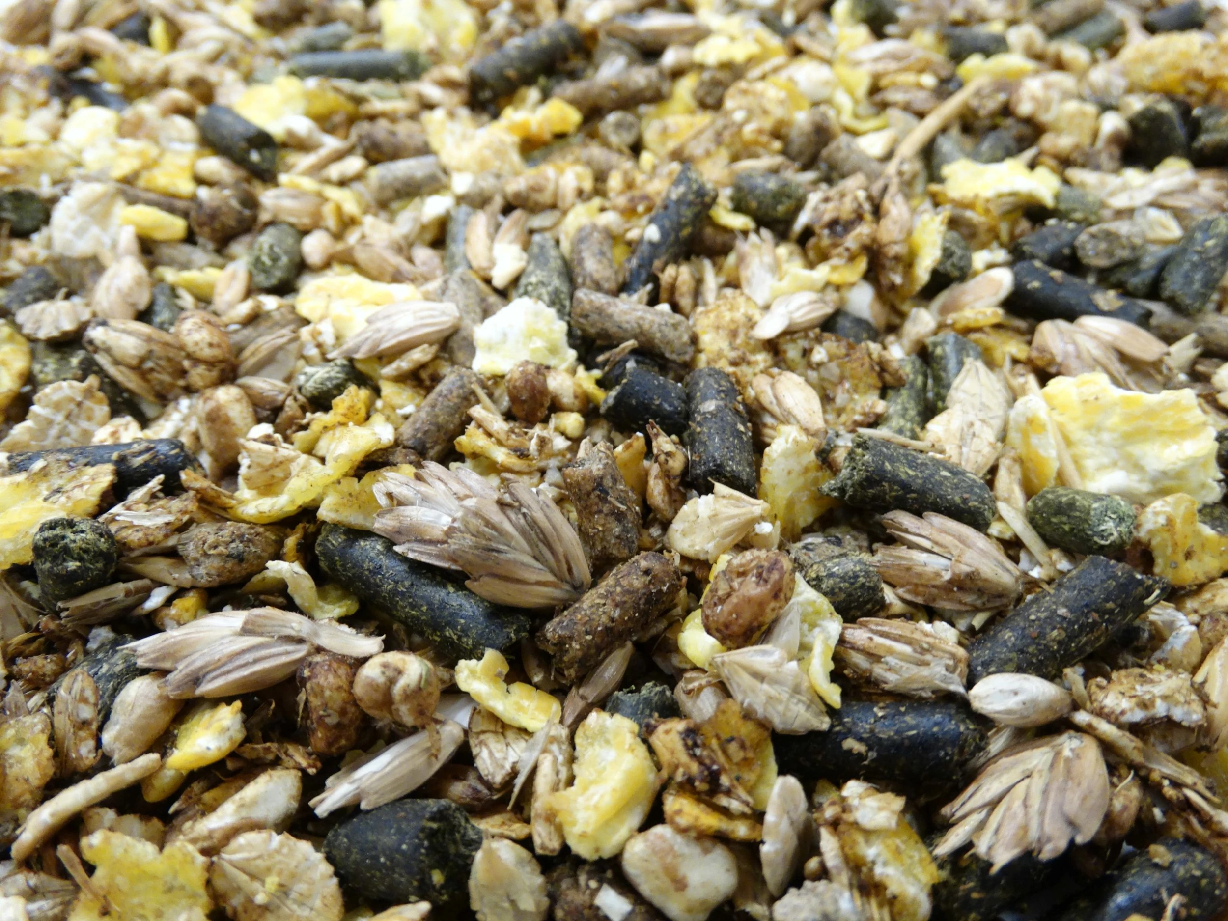 Havens Cool-Mix 20kg 3 Havens Cool-Mix 20kg – Bild 3