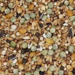 Gladen Rassetauben Mit Mais 25kg