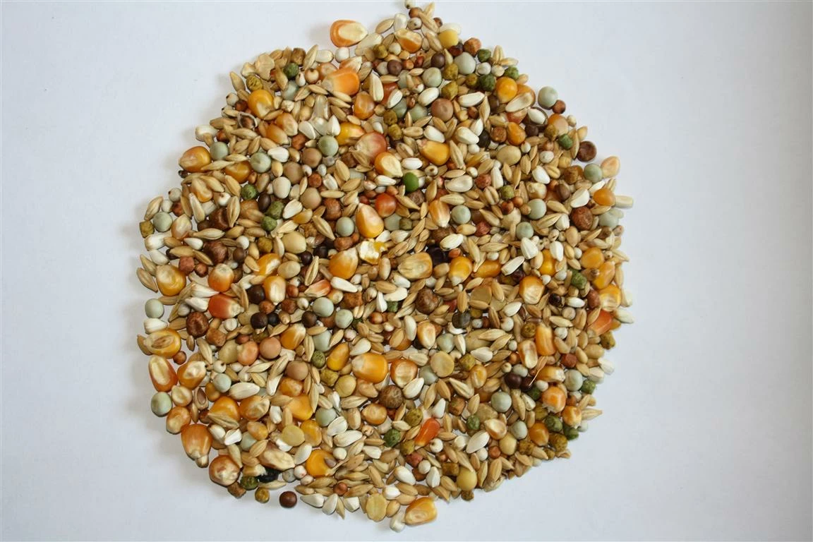 Versele Junior Plus I.C.⁺ 20kg 1 Versele Junior Plus I.C.⁺ 20kg