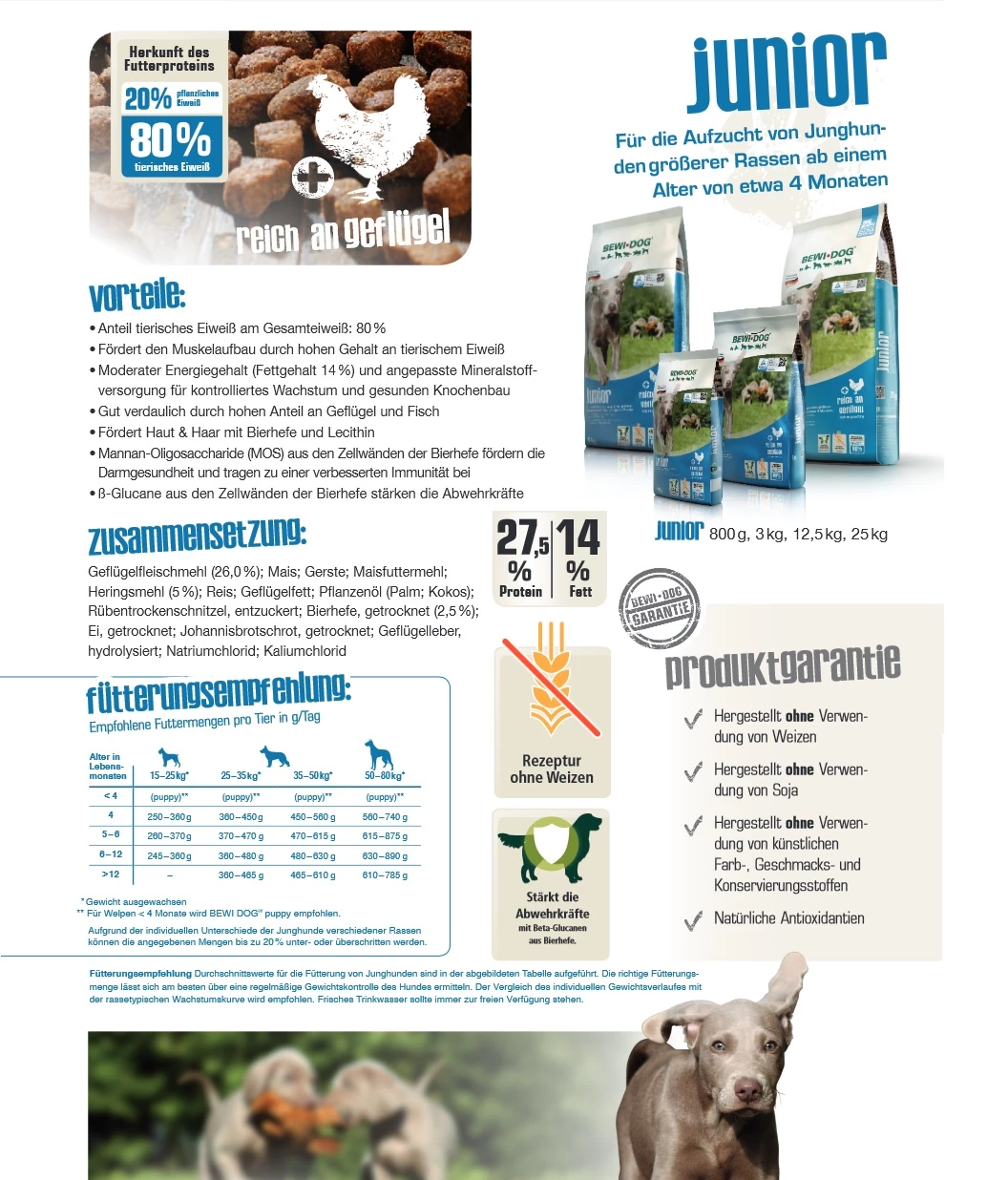 Bewital Bewi Dog Junior 12,5kg 4 Bewital Bewi Dog Junior 12,5kg – Bild 4