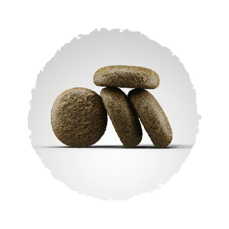 Josera Lachs&Kartoffel 2er-Pack 30kg 2 Josera Lachs&Kartoffel 2er-Pack 30kg – Bild 2