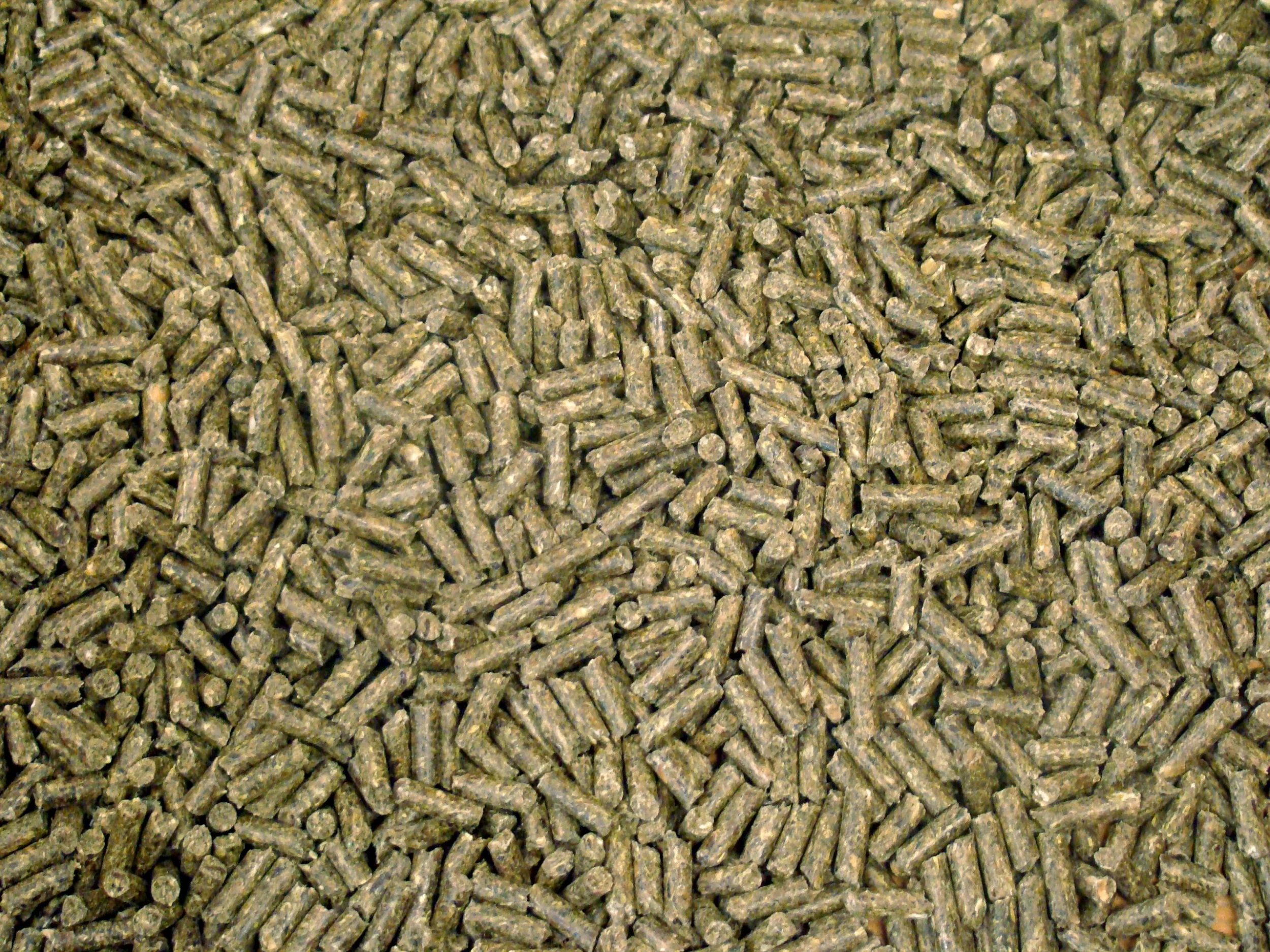 Havens Kuni Excellent M5 25kg 2 Havens Kuni Excellent M5 25kg – Bild 2