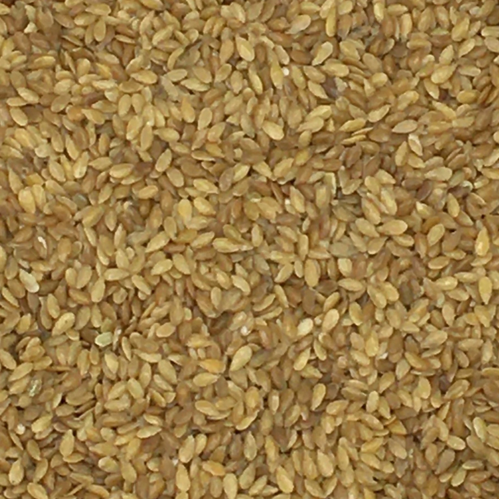 Leinsamen Gelb - Vanrobaeys 25kg 1 Leinsamen Gelb - Vanrobaeys 25kg