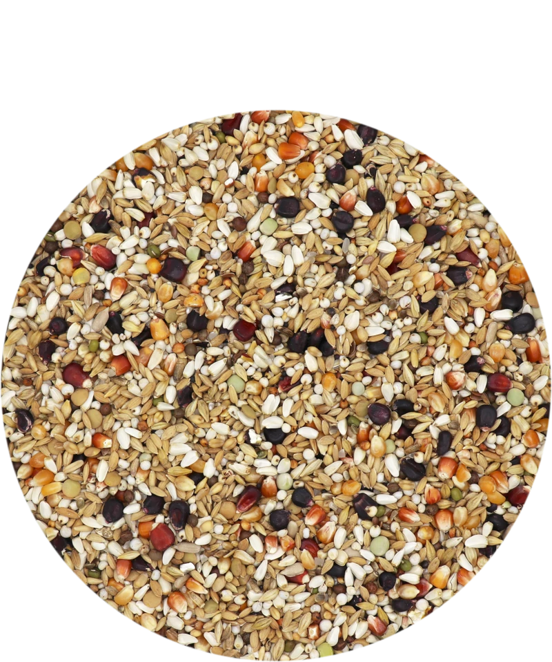 Versele Master Diät Relax 20kg 1 Versele Master Diät Relax 20kg