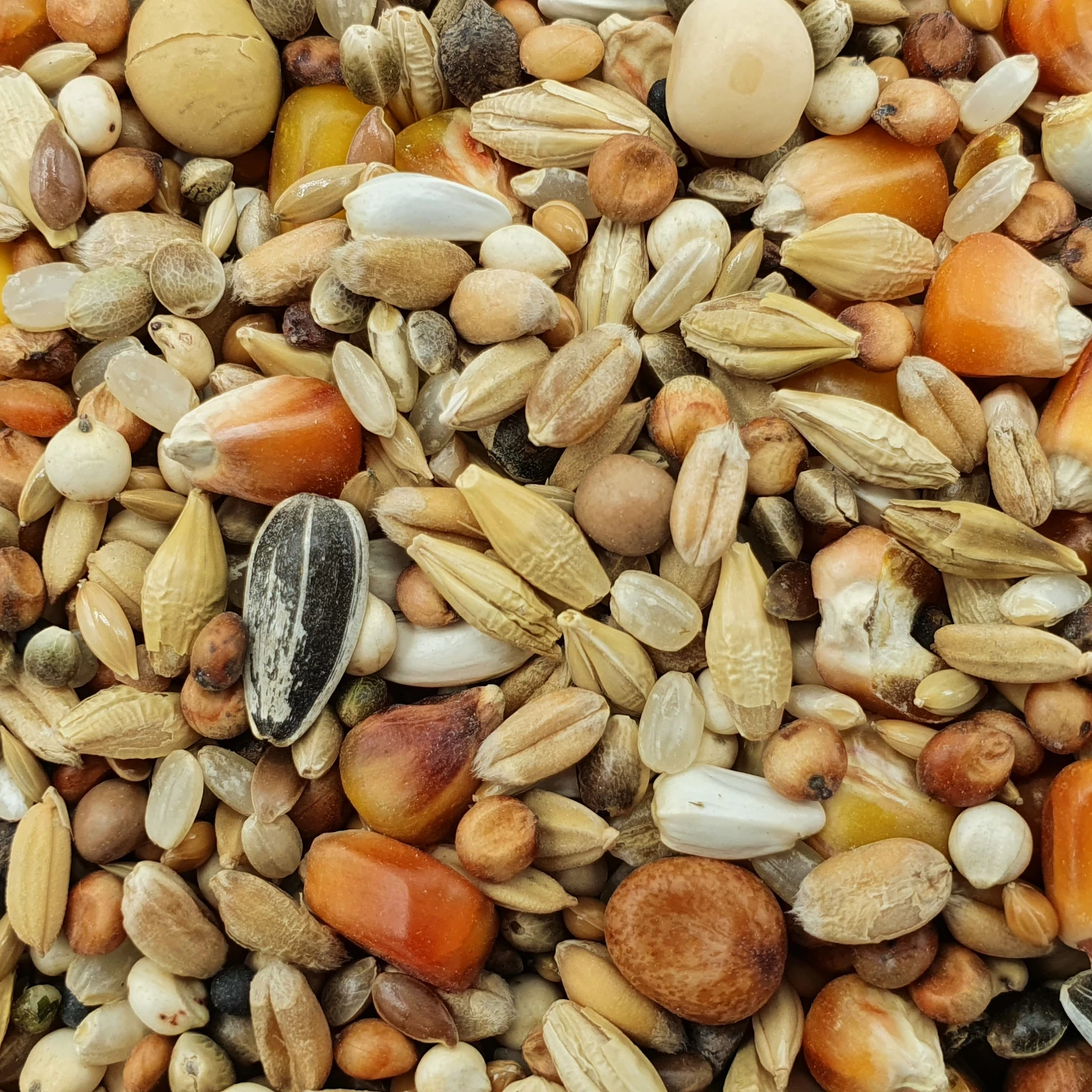 Matador Jungtauben H.O.T. 25kg 1 Matador Jungtauben H.O.T. 25kg