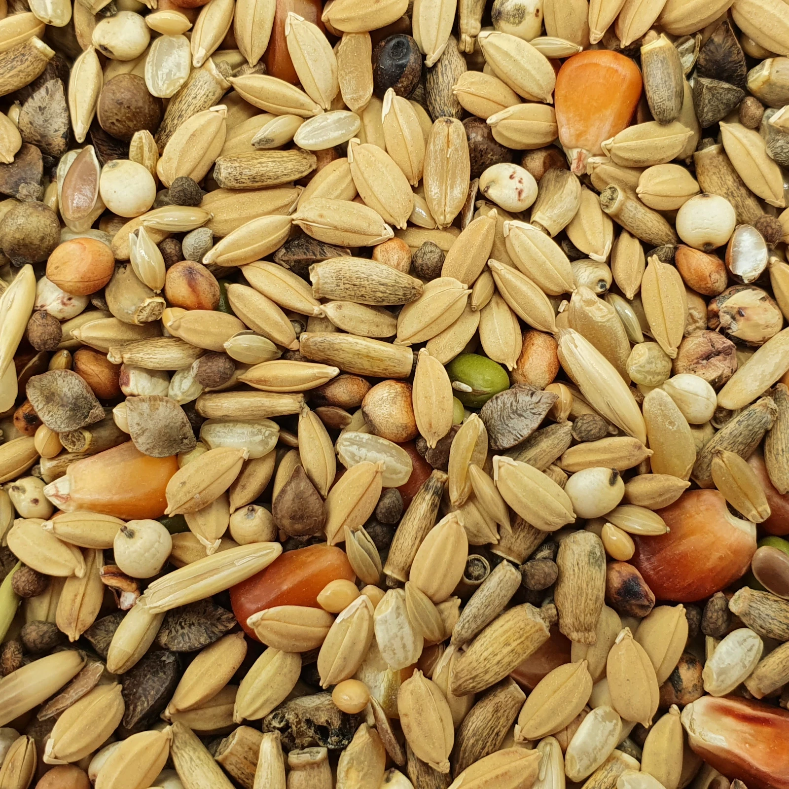 Matador Premium Detox 20kg 1 Matador Premium Detox 20kg