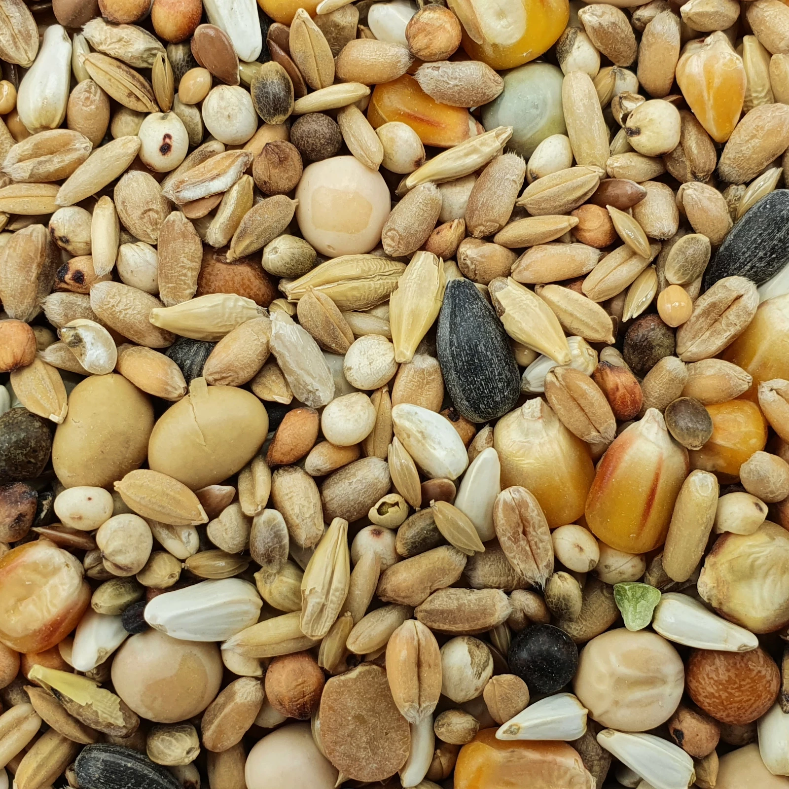 Matador Premium Mauser 25kg 1 Matador Premium Mauser 25kg