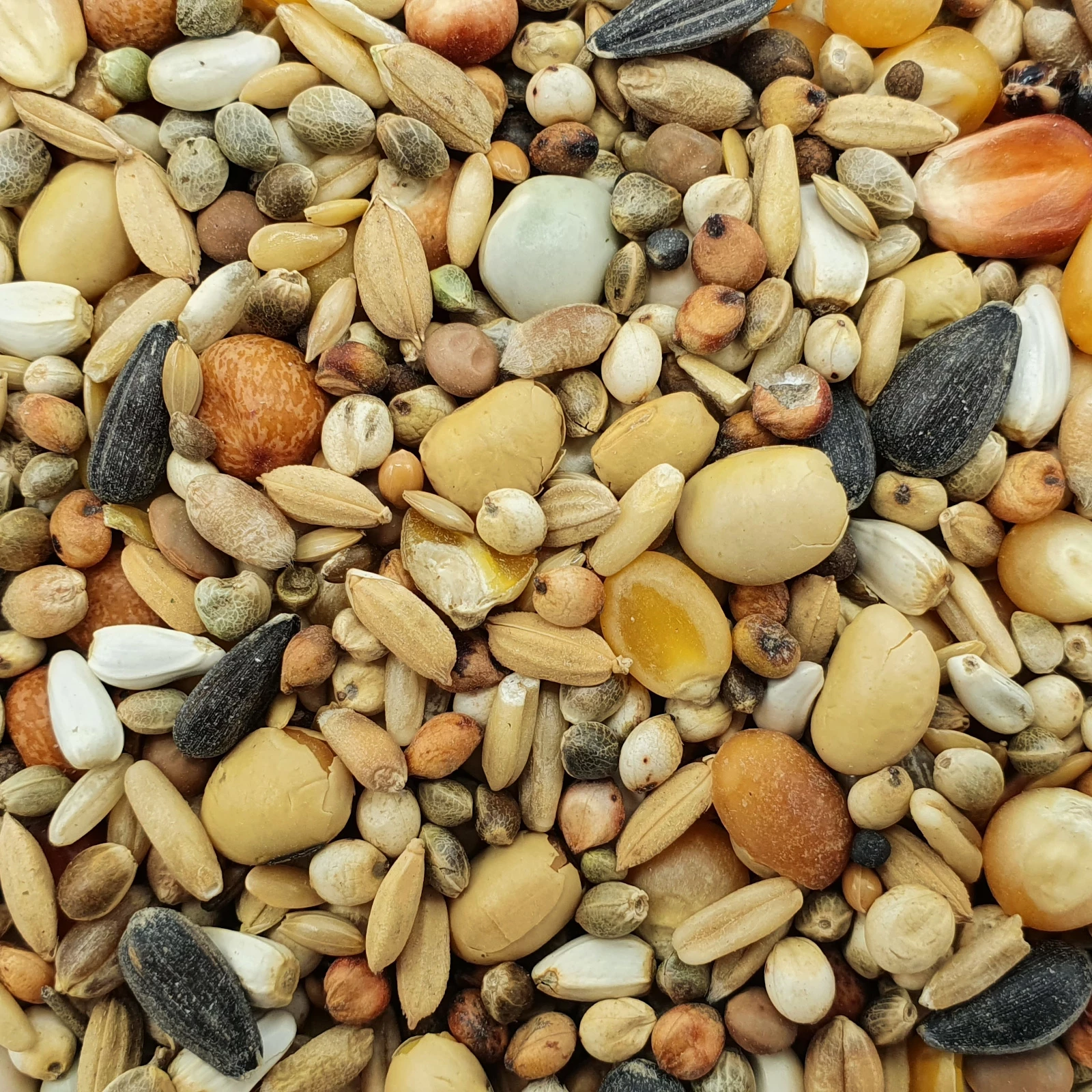 Matador Premium Zucht Extrem 20kg 1 Matador Premium Zucht Extrem 20kg