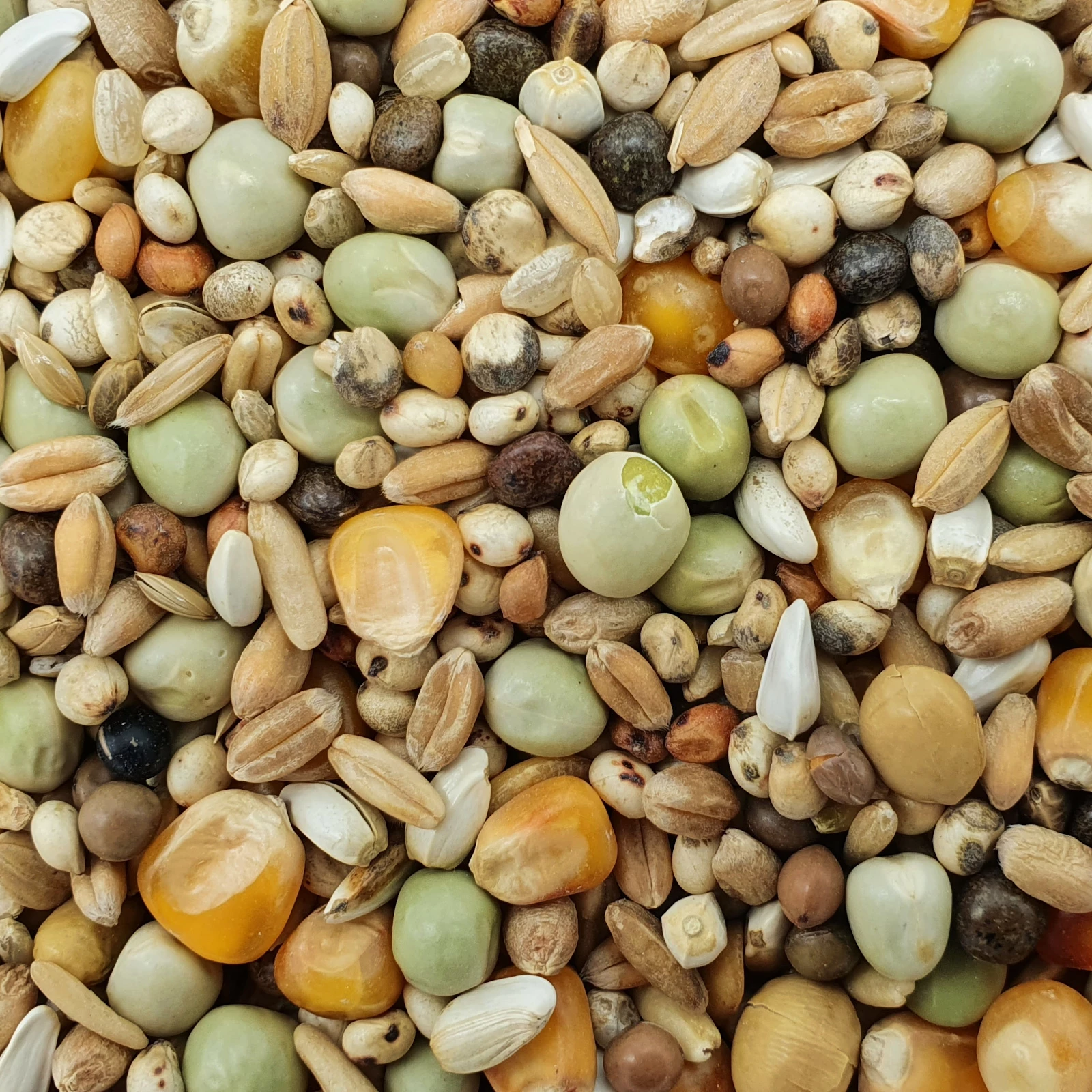 Matador Premium Zucht 25kg 1 Matador Premium Zucht 25kg