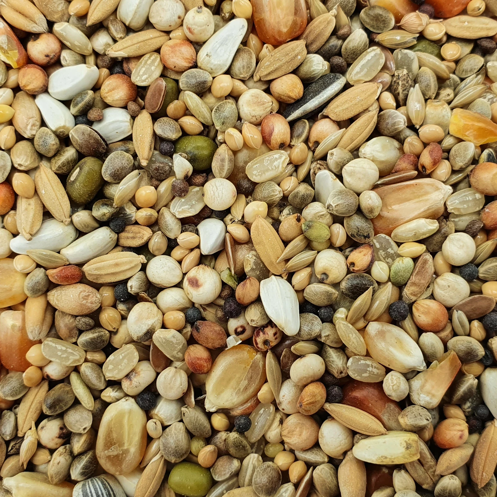 Matador Turbofettmischung Extrem 20kg 1 Matador Turbofettmischung Extrem 20kg