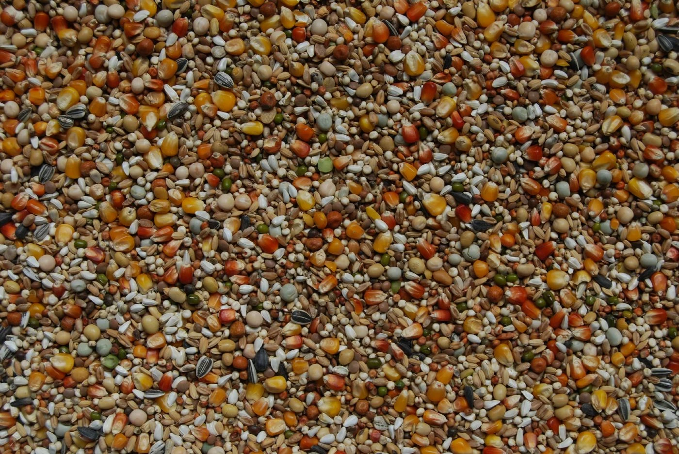 Matador Premium Reise 25kg 1 Matador Premium Reise 25kg