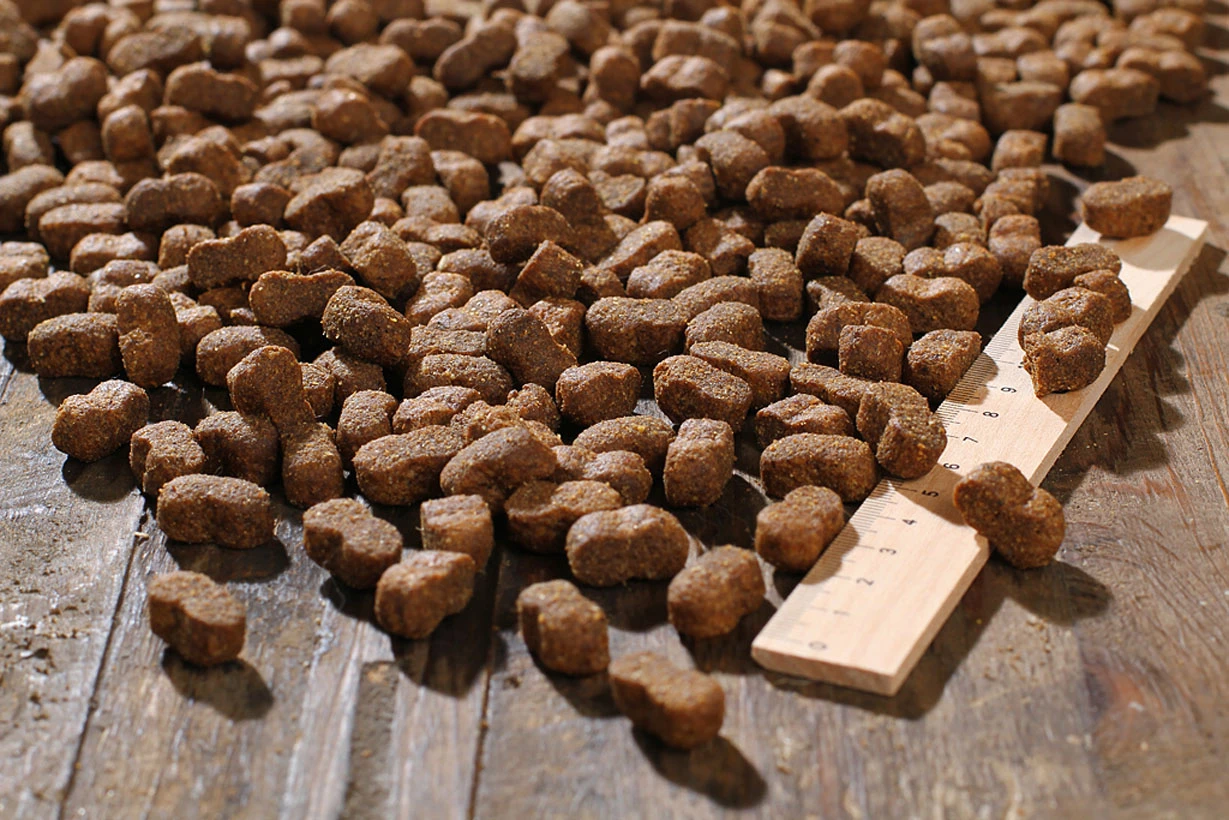 Bewital Bewi Dog Junior 12,5kg 3 Bewital Bewi Dog Junior 12,5kg – Bild 3