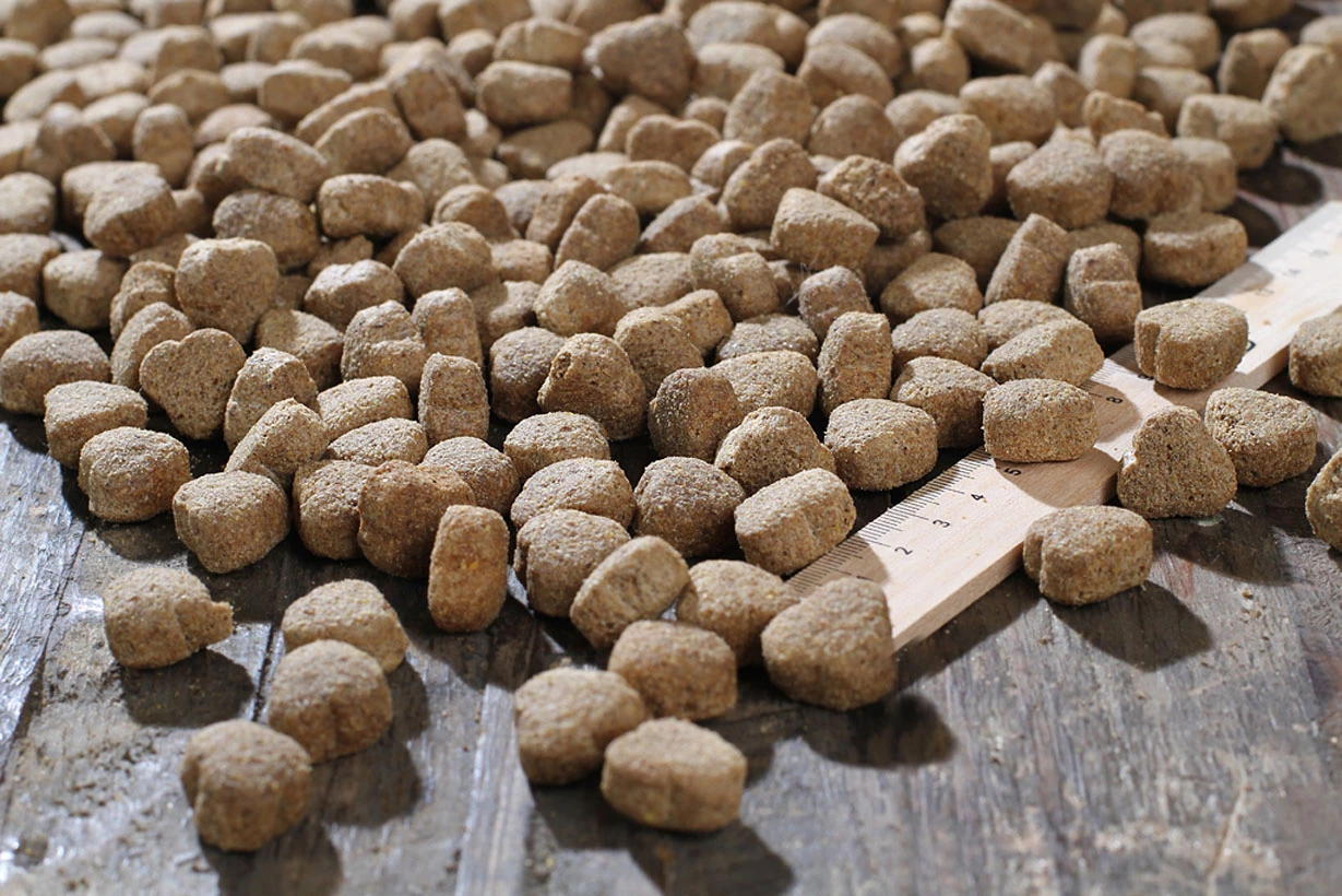 Bewital Bewi Dog Balance 12,5kg 3 Bewital Bewi Dog Balance 12,5kg – Bild 3