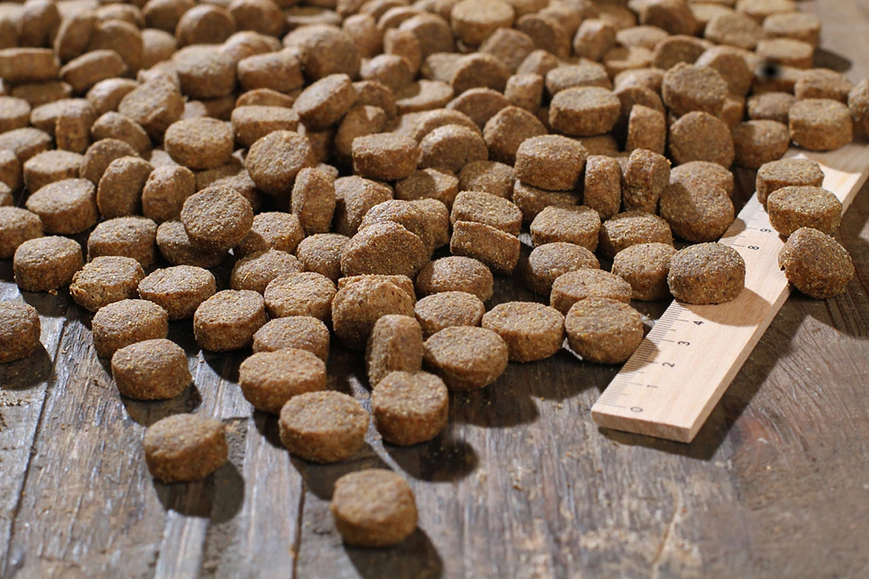 Bewital Bewi Dog Basic 12,5kg 3 Bewital Bewi Dog Basic 12,5kg – Bild 3