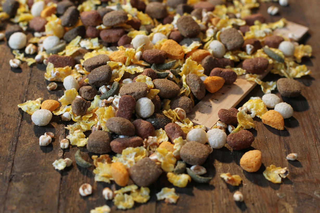 Bewital Bewi Dog Basic Menu 25kg 3 Bewital Bewi Dog Basic Menu 25kg – Bild 3