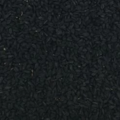 Schwarzkümmelsaat - Gladen 2,5kg