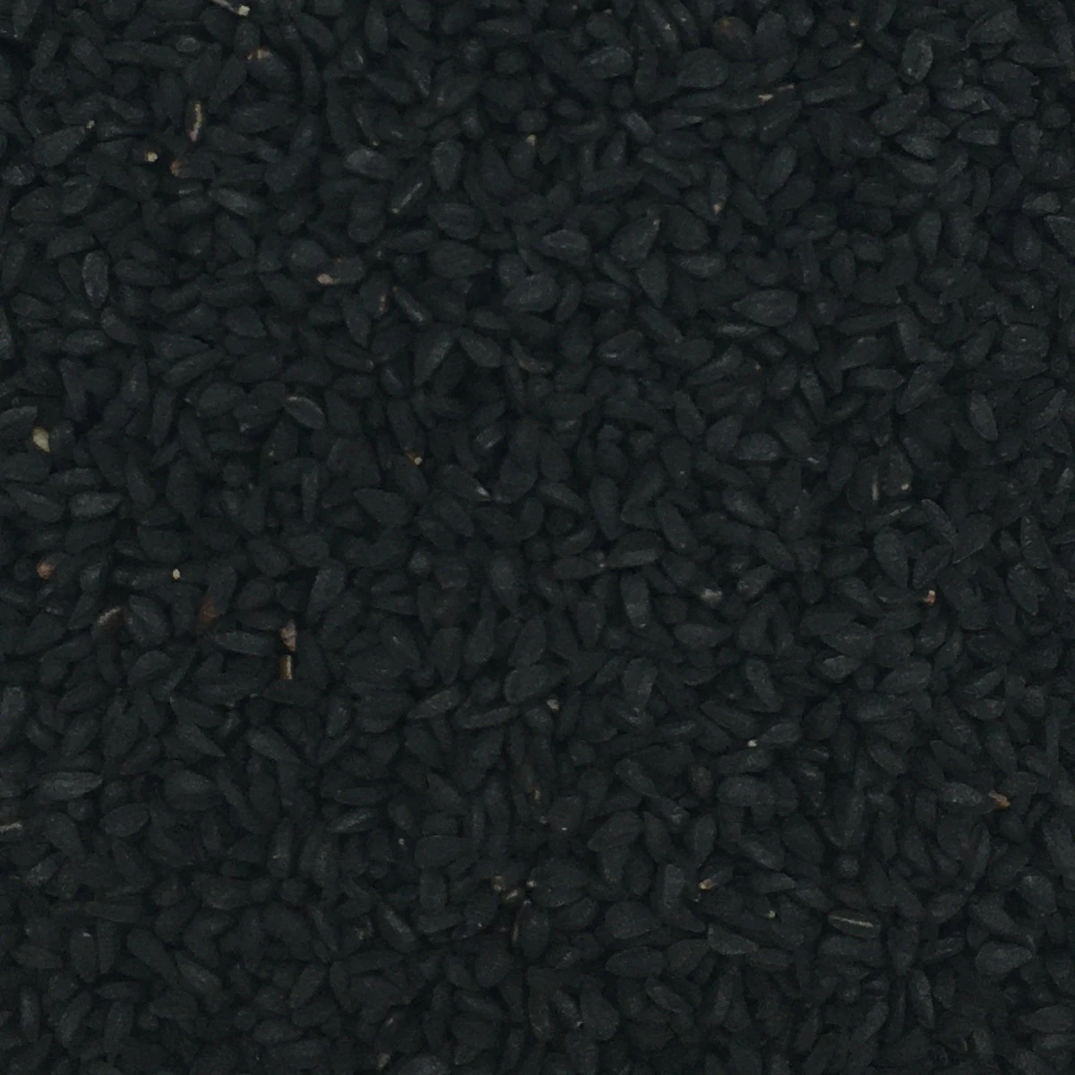 Schwarzkümmelsaat - Gladen 2,5kg 1 Schwarzkümmelsaat - Gladen 2,5kg