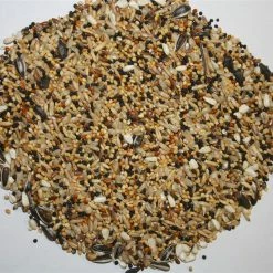 Spinne Rennfutter - ĂlsĂ€mereien 20kg