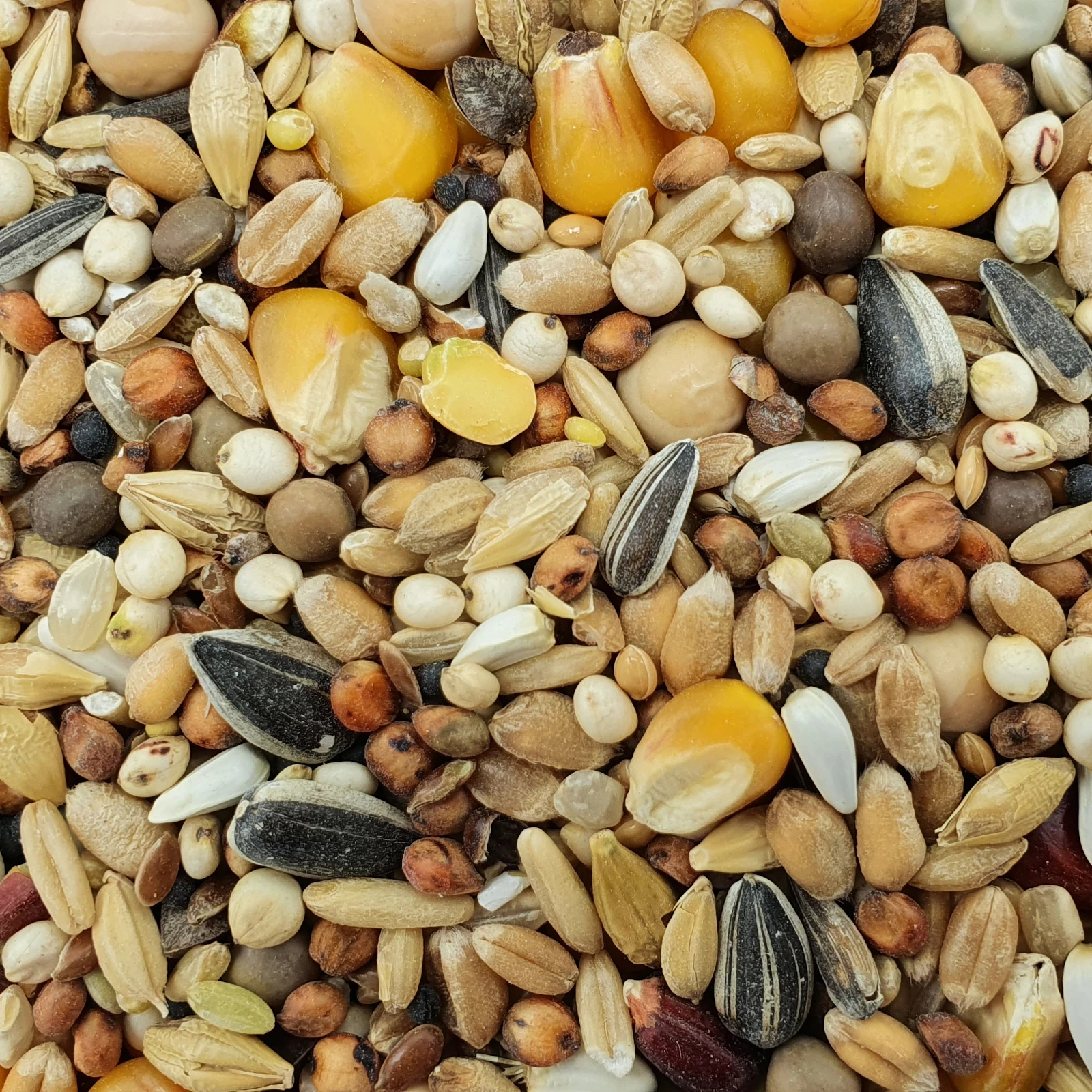 Spinne Mauser Forte 25kg 1 Spinne Mauser Forte 25kg