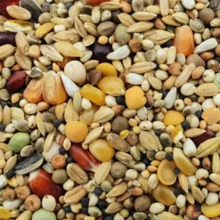 Spinne Stieneker Power 25kg