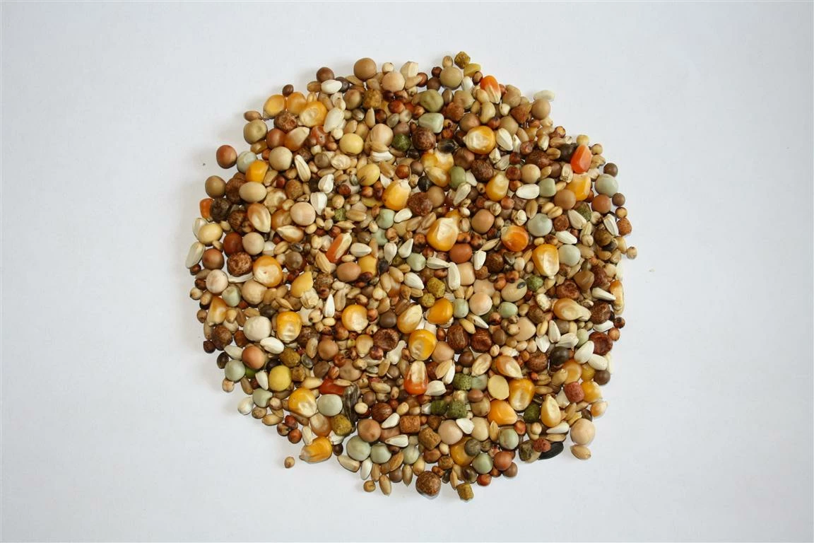 Versele Start Plus I.C.⁺ 20kg 1 Versele Start Plus I.C.⁺ 20kg