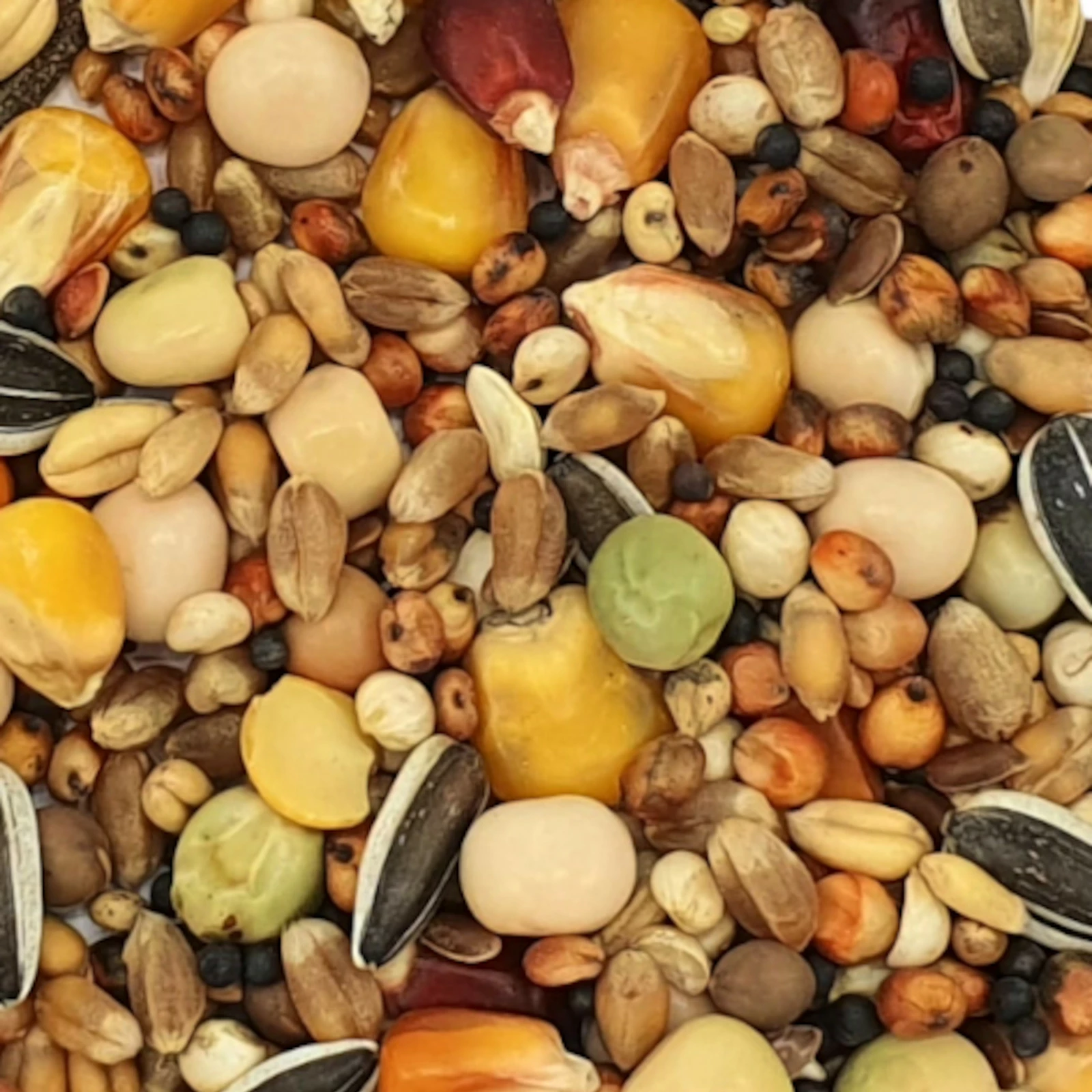 Vanrobaeys Nr.837 All In Olympia 20kg 1 Vanrobaeys Nr.837 All In Olympia 20kg