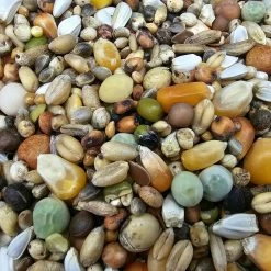 Versele Zucht Active Life 25kg