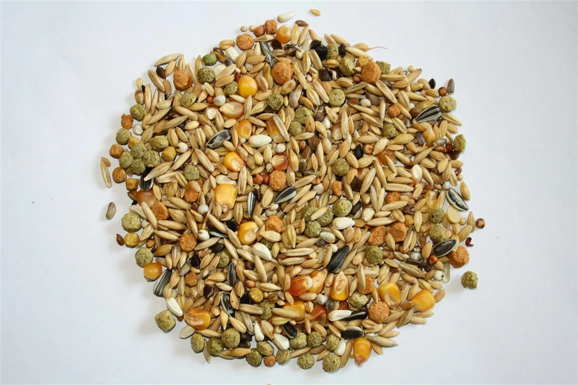 Versele Winter Plus I.C.⁺ 20kg 1 Versele Winter Plus I.C.⁺ 20kg