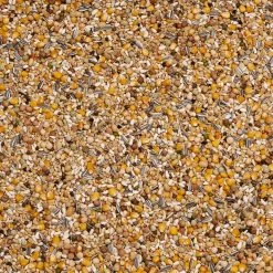 Beyers 6 Energy Soja Witwer Ost 25Kg