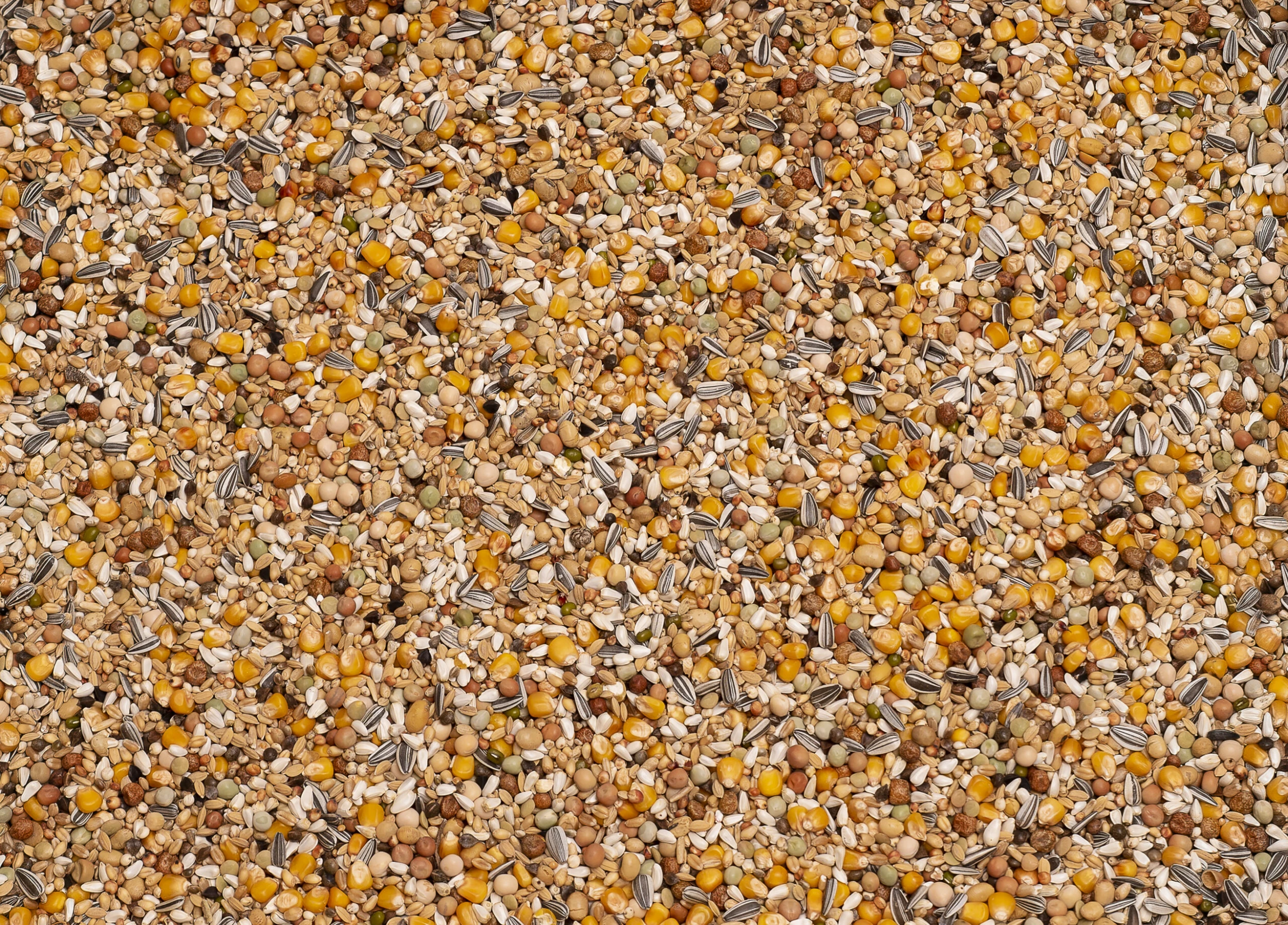 Beyers 6 Energy Soja Witwer Ost 25Kg 1 Beyers 6 Energy Soja Witwer Ost 25Kg