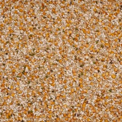 Beyers Premium Vandenabeele 20Kg